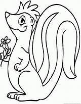 Skunk Print Animal Coloring Pages Zoom sketch template