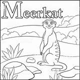 Coloring Meerkat Pages Popular sketch template