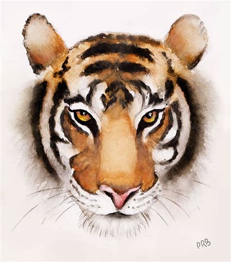 tiger face watercolor painting prb arts