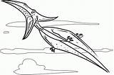 Pteranodon Pterodactyl Printable Dinosauri Pteranodonte Pterodactylus Colorare Raiva Volador Tudodesenhos sketch template