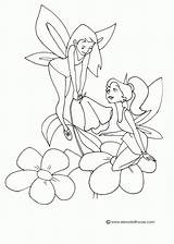 Coloring Fairy Flower Pages Popular Print Library Clipart Coloringhome Cartoon sketch template