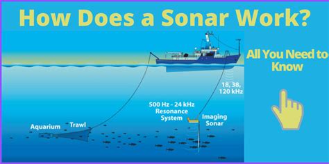 sonar work    helpful  fishing