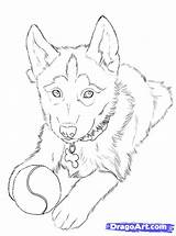 Husky Dog Puppy Huskies Drawing Wolf Cute Drawings Draw Easy Puppies Fun sketch template