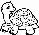Tortoise Coloringbay Olphreunion sketch template