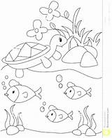 Pond Coloring Pages Royalty Habitat Printable Color Animal Arctic Getcolorings Template Plants Getdrawings sketch template