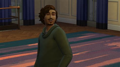 post the last screenshot you took in the sims 4 page 212 — the sims