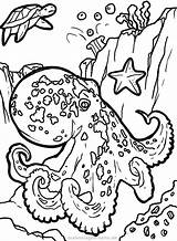 Tintenfisch Krake Malvorlage Malvorlagen Oktopus Dschungel Kraken Ausdrucken Seite Fische Zahlen Tintenfische sketch template