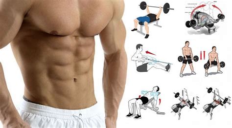 awesome upper body muscle building exercises strong muscles