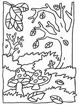 Herfst Kleurplaten Toamna Paddestoel Paddestoelen Automne Peisaje Octobre Colorat Eekhoorn Desene Bos Maternelle Uitprinten Afkomstig Egel Peisaj Tekenen Carnet Dieren sketch template