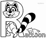 Raccoon Coloring Pages Printable Raccoons Cartoon Color Template Racoon Drawing Kids Cool2bkids Easy Marine Library Getdrawings Popular sketch template