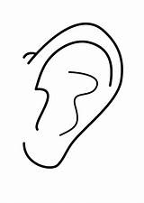 Ear Coloring Pages Ears Clean Very Kids Color Colouring Clipart Left Library Popular sketch template
