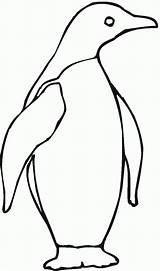 Penguin Coloring Pages Emperor Kids Printable Color Penguins Animal Clipart Animals Drawing Print Template Cliparts Cartoon Little Blue Adelie King sketch template