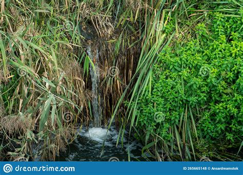Sewage Flows Into The Lake From The Territory Of A Large Plant Leaking
