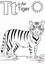 Tiger Tigre Jungle Supercoloring Preschooler Coloringareas sketch template