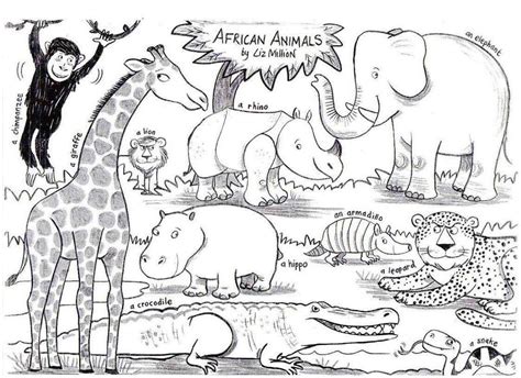 jungle  african animal coloring pages  savanna scenery