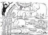 Coloring African Animal Sheet Species Pages Savanna Jungle Animals Scenery sketch template