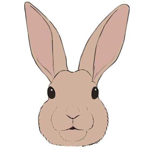 draw  bunny face easy drawing art