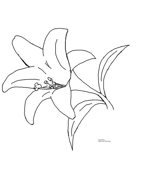 easter lily clipart black  white   easter lily