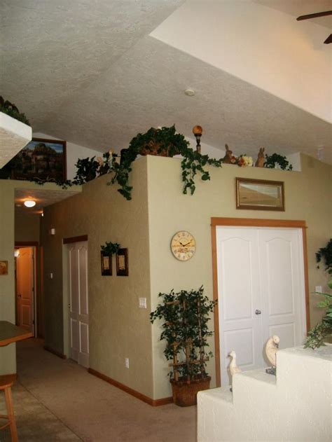 shows vaulted ceilings  living area  plant shelves  decorating