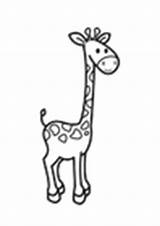 Giraffe Coloring Malvorlage Bilde Fargelegge Giraff Head sketch template