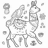 Llamas Colouring sketch template