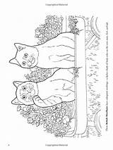 Coloring Cat Pages Book Lovers Nature Dover Choose Board sketch template