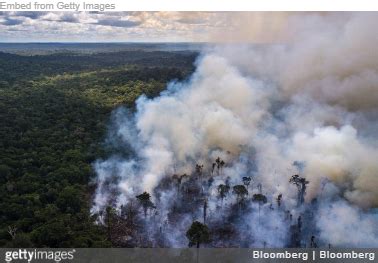 op dit moment veel meer bosbranden  afrika   amazone gebied xandernieuws