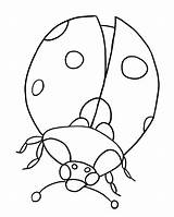 Coloring Ladybug Pages Printable Kids sketch template