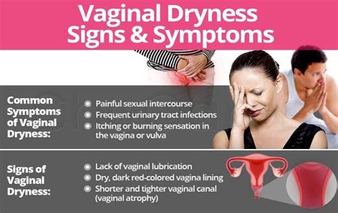 6 natural options for relieving vaginal dryness brenda eastwood s