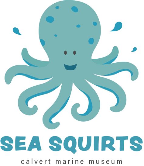Sea Squirts Calvert Marine Museum Md Official Website