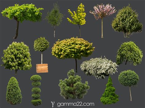 tree cutouts gamma
