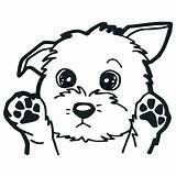 Dog Coloring Pages Head Getcolorings sketch template