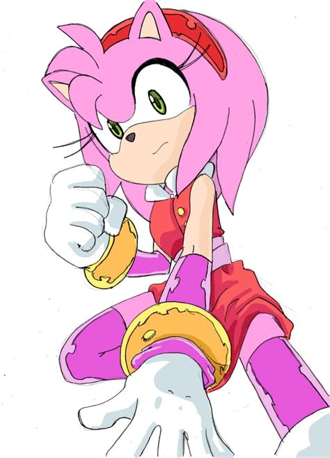 found on bing from amy rose amy the hedgehog