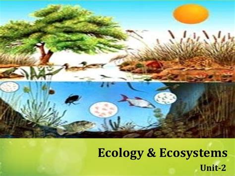 ecology ecosystems