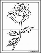 Coloring Rose Pages Pdf Kids Summer Sheets Printables Bud Stem Long Template Customize Colorwithfuzzy Printable Simple sketch template