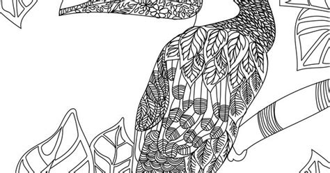 toucan adult colouring page colouring  sheets art craft art