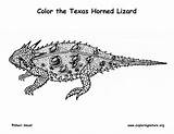 Horned Lizard Toad Texas Coloring Please Sponsors Wonderful Support Template sketch template