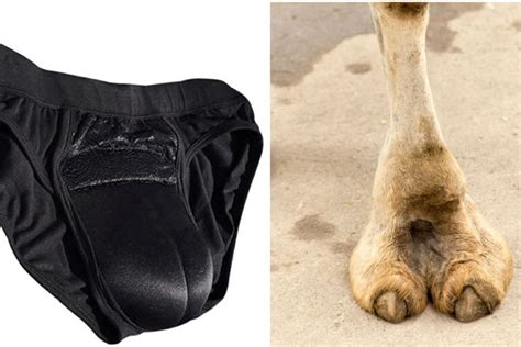 fake camel toe underwear is one of the weirdest fashion trends ever rare