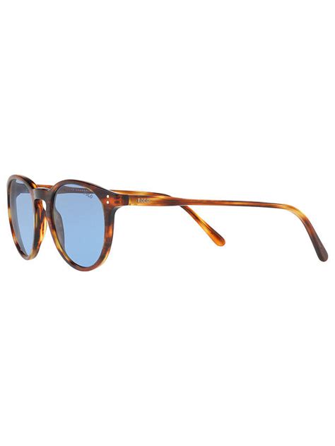 polo ralph lauren ph4110 men s oval sunglasses havana light blue at