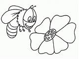 Bee Coloring Pages Lkg Colouring Bumble Library Clip Hive Cartoon sketch template
