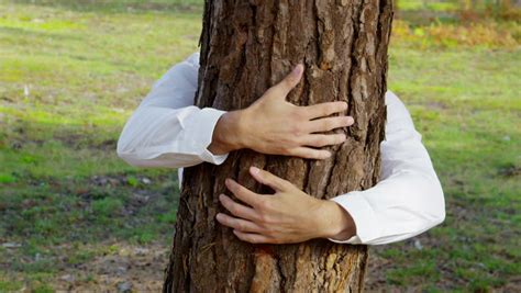green environmental business concept with person hugging
