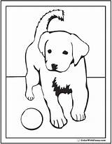 Coloring Dog Pages Puppy Retriever Labrador Golden Printable Puppies Ball Dogs Print Colorwithfuzzy Kids Bones Breeds Has Adult Houses sketch template