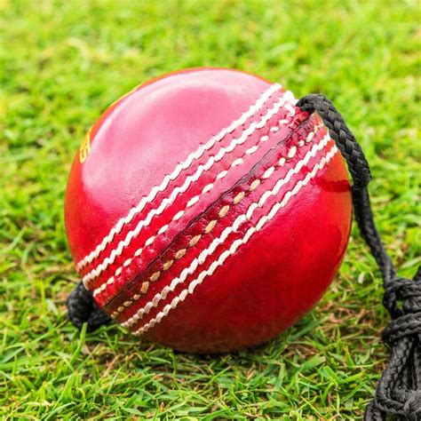 fortress balles de cricket avec cordon net world sports