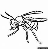 Wasp Avispas Insect Termite Hornets Designlooter Insects Clipartmag Divyajanani Thecolor Iluminar sketch template