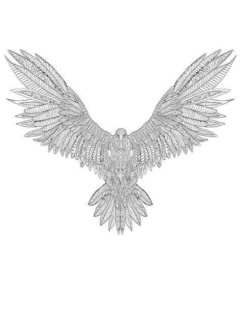 eagle printable coloring page  adult etsy