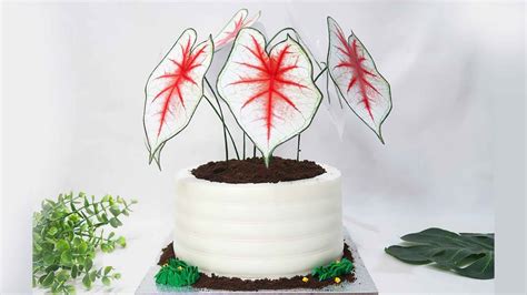 easy plant pot cake ideas pot cake  soft icing caladium plant