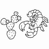 Desert Scorpion Coloring Pages Surfnetkids sketch template