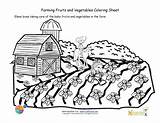 Coloring Pages Farm Kids Crops Seeds Vegetables Printable Sheet Growing Fruits Food Fruit Farming Taking Care Colouring Planted Newly Sheets sketch template