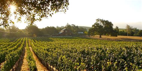 Travel Eat Drink Repeat Your Ultimate Wine Country Escape