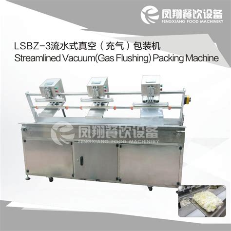lsbz  vacuum package machine fsdz  fengxiang china manufacturer